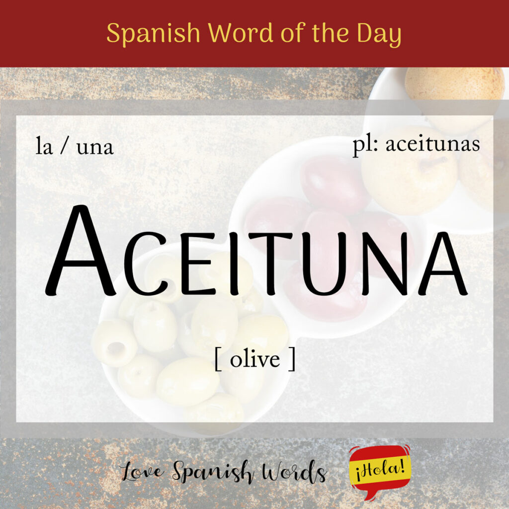 aceituna spanish word