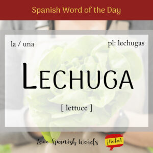 Spanish Word of the Day: Lechuga (lettuce) - Love Spanish Words