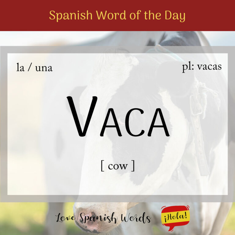 Spanish Word of the Day: Vaca (cow) - Love Spanish Words