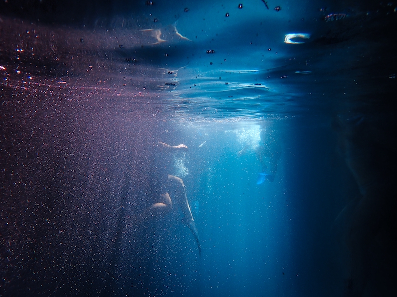 An underwater shot of a people in the water