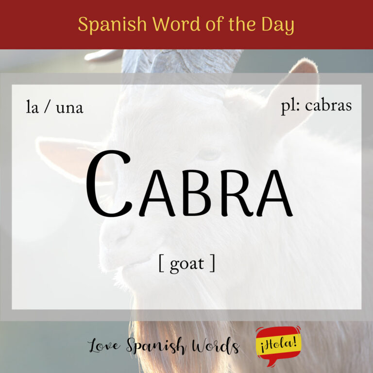 Spanish Word of the Day: Cabra (goat) - Love Spanish Words