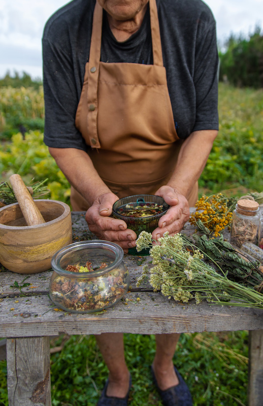 An elderly woman brews herbal tea. Selective focus. Drink.