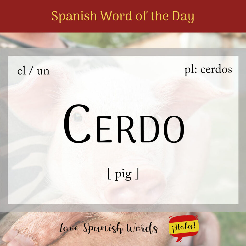 cerdo