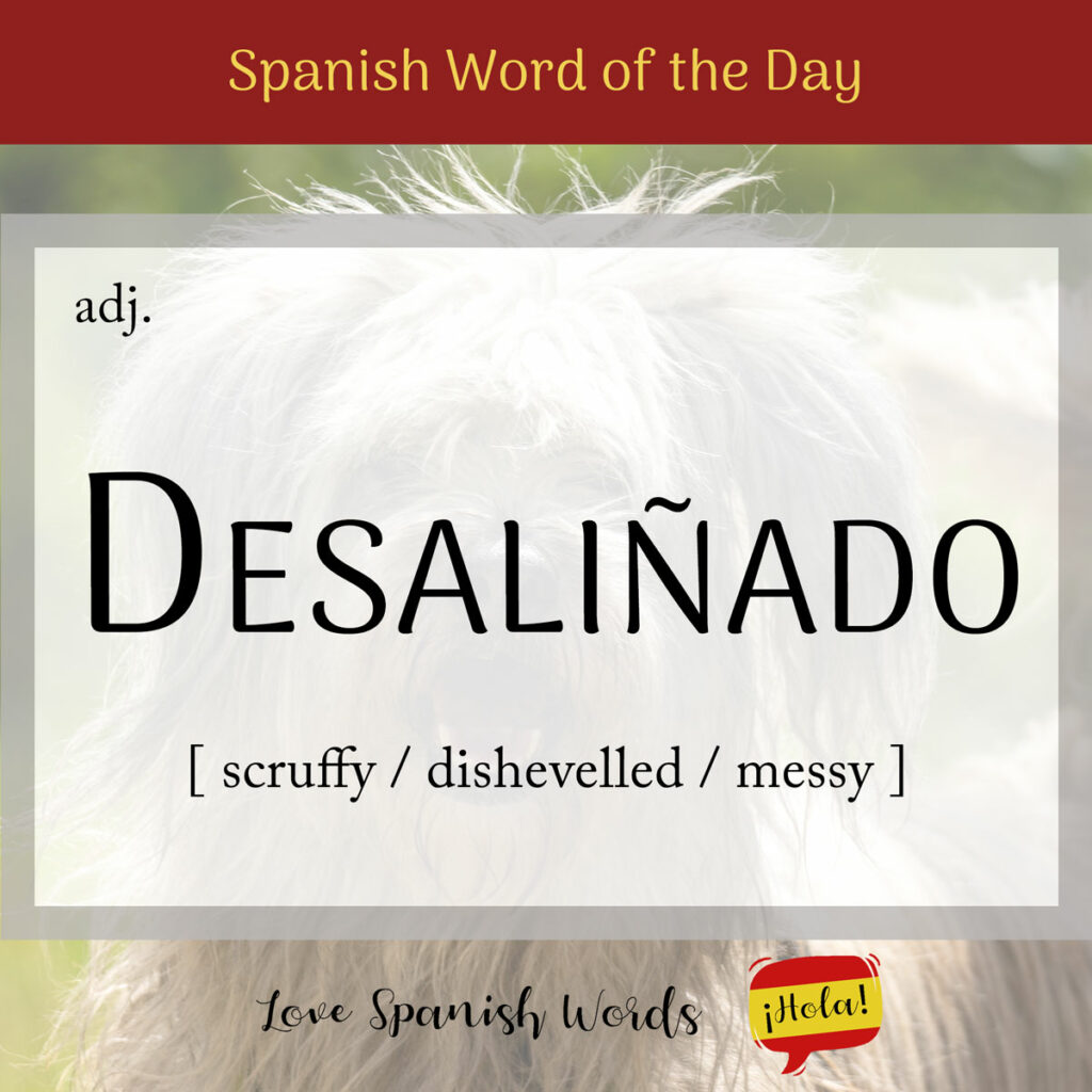 Desaliñado