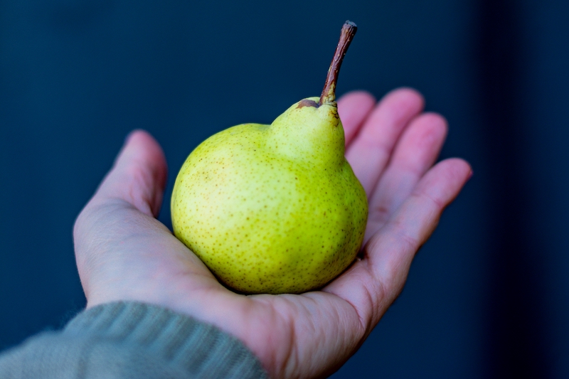 hand holding pear