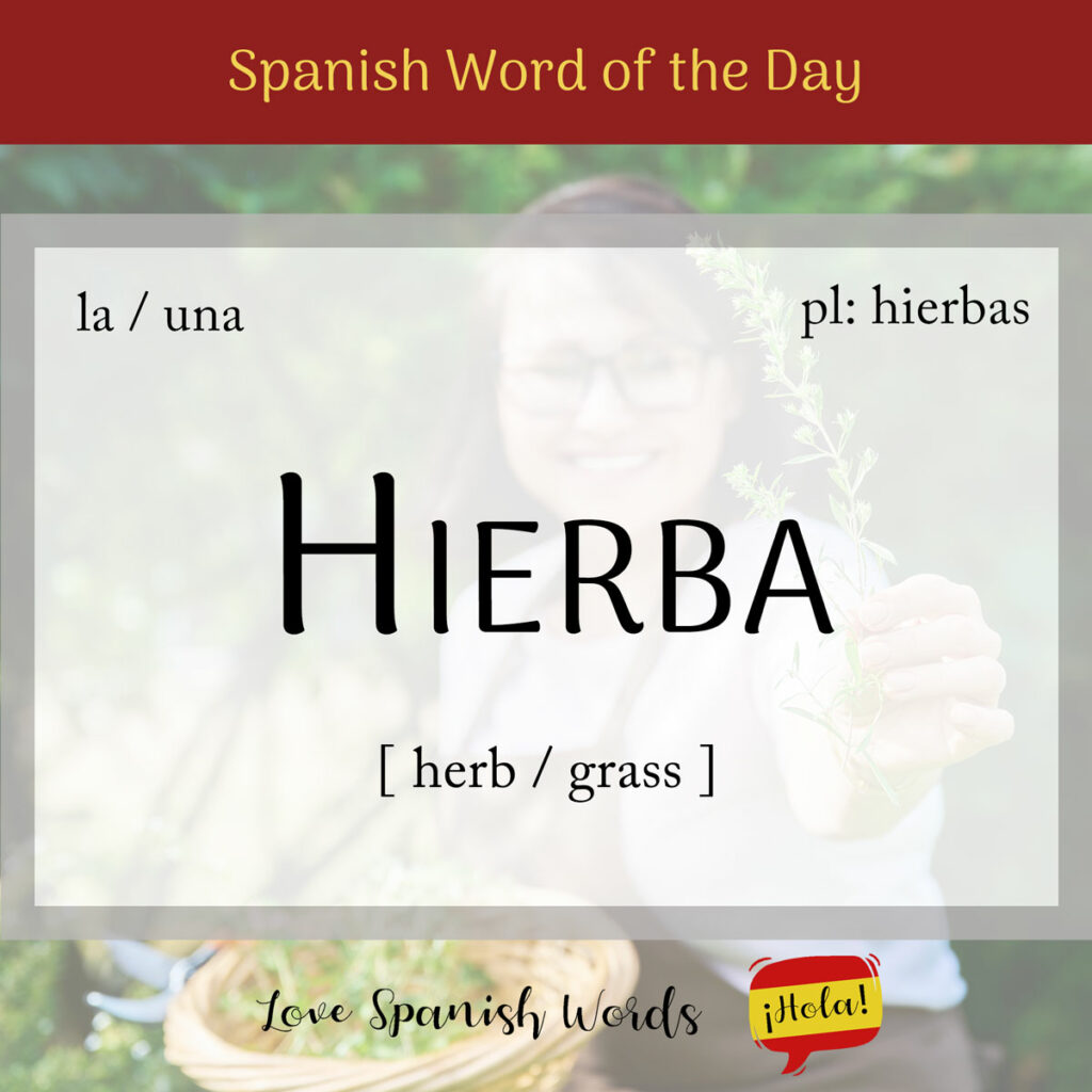 hierba