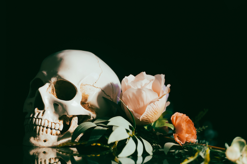 Skull with pastel pink rose flowers. Calavera Catrina. Dia de los muertos. Day of The Dead.