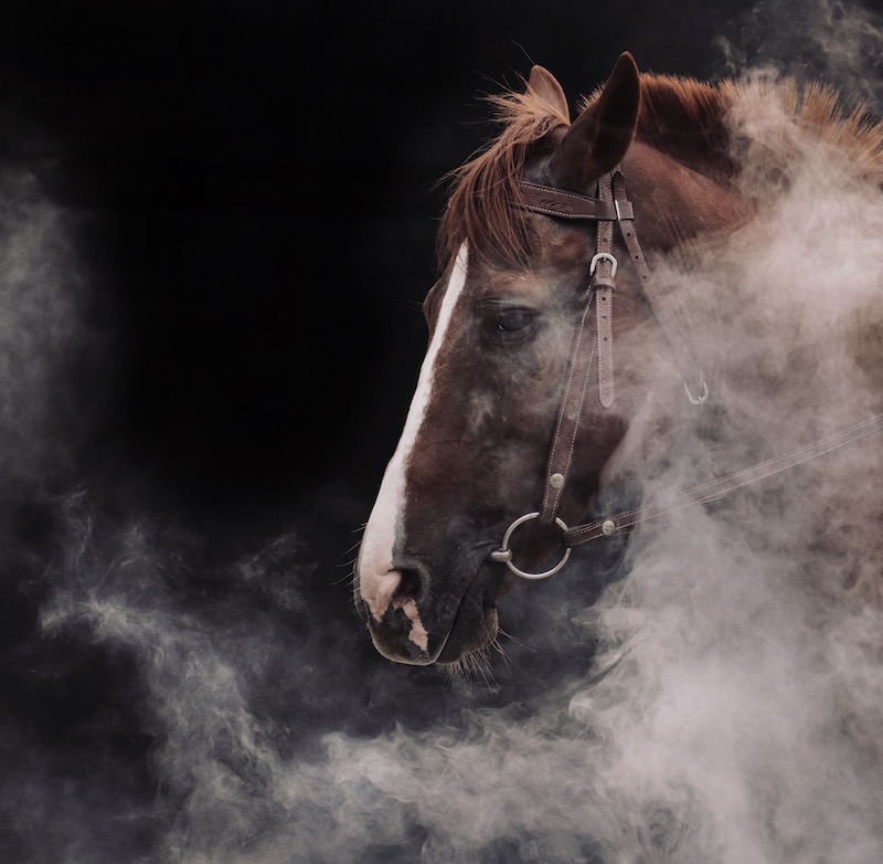 horse surrounded by smoke on a dark background