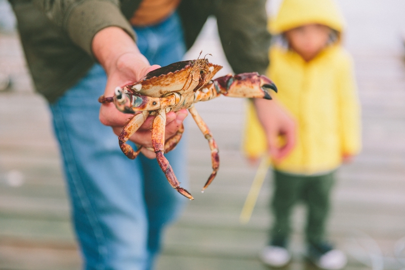 man holding a crab