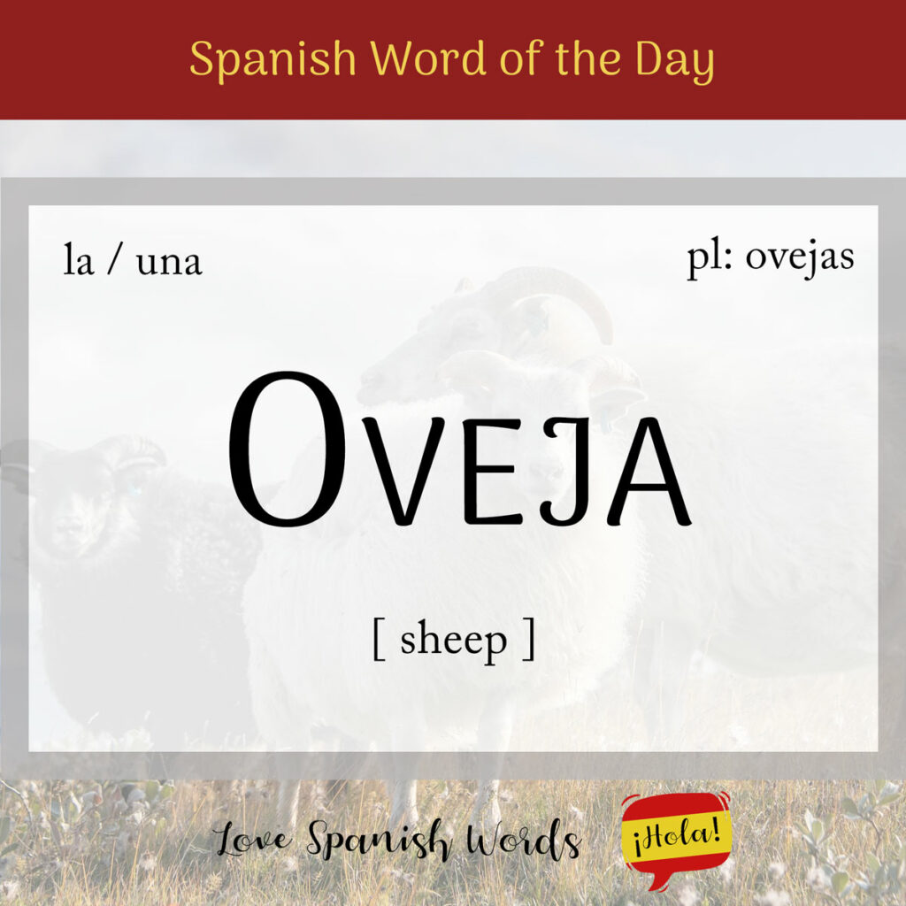 oveja