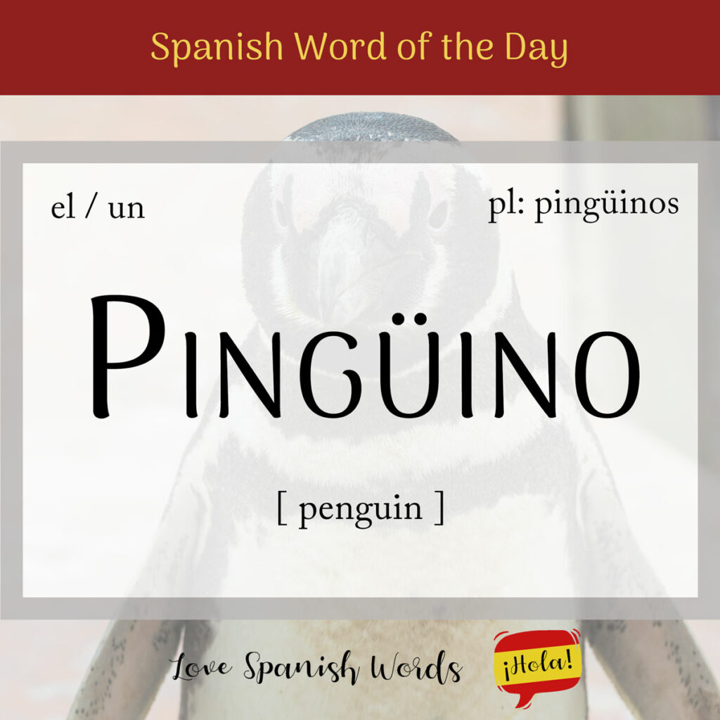 pinguino